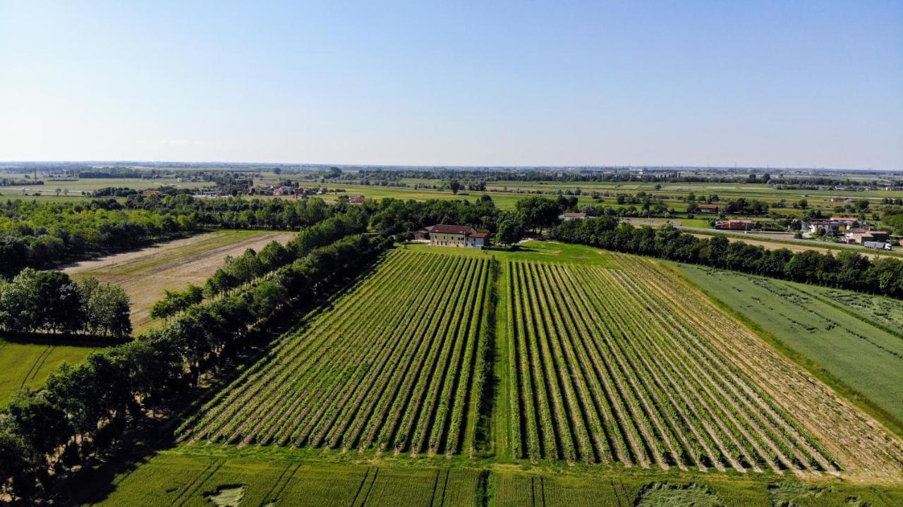 Agriturismo Ae Cavane Codevigo Екстериор снимка