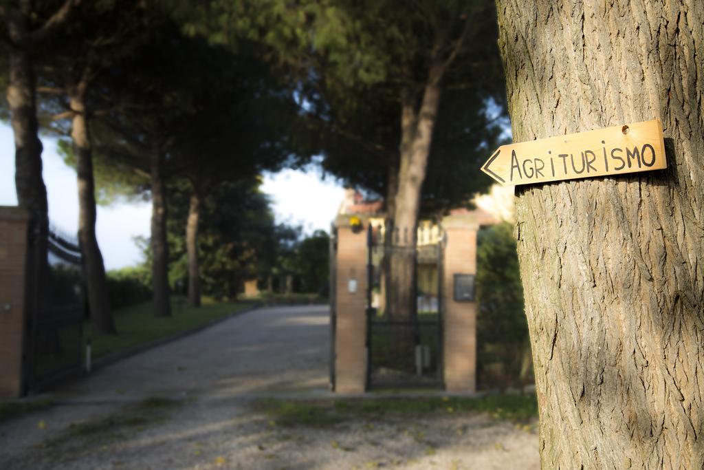 Agriturismo Ae Cavane Codevigo Екстериор снимка